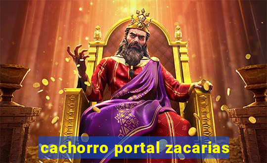 cachorro portal zacarias